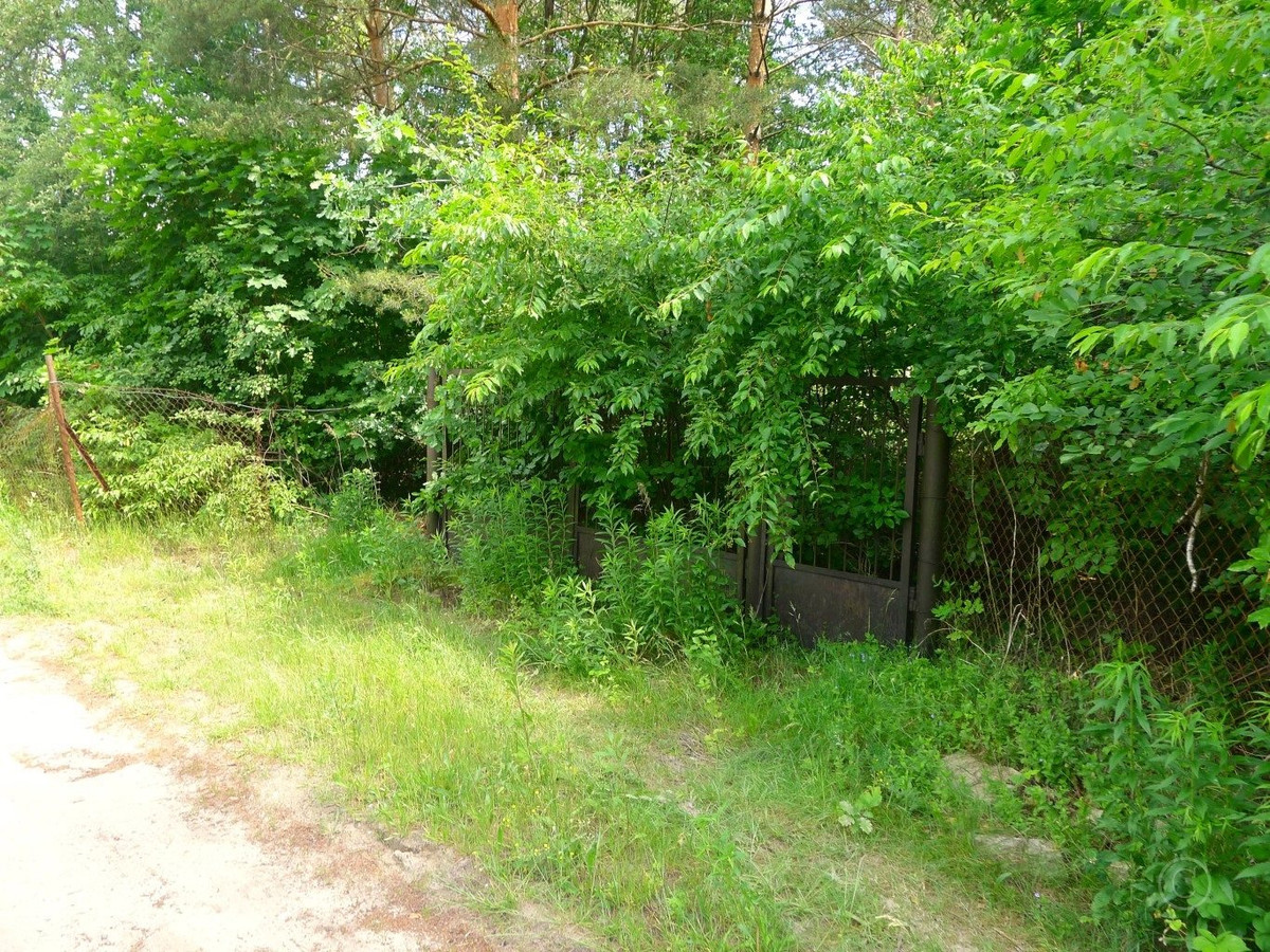 1998mkw, Rosanów, dostęp do drogi z 2 stron - Widok 2
