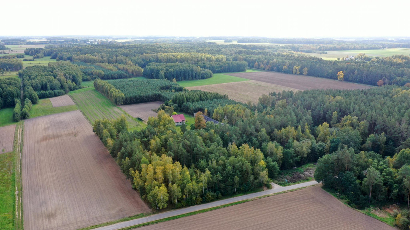 Dom – Przytuły, Kubra-Przebudówka - Widok 4