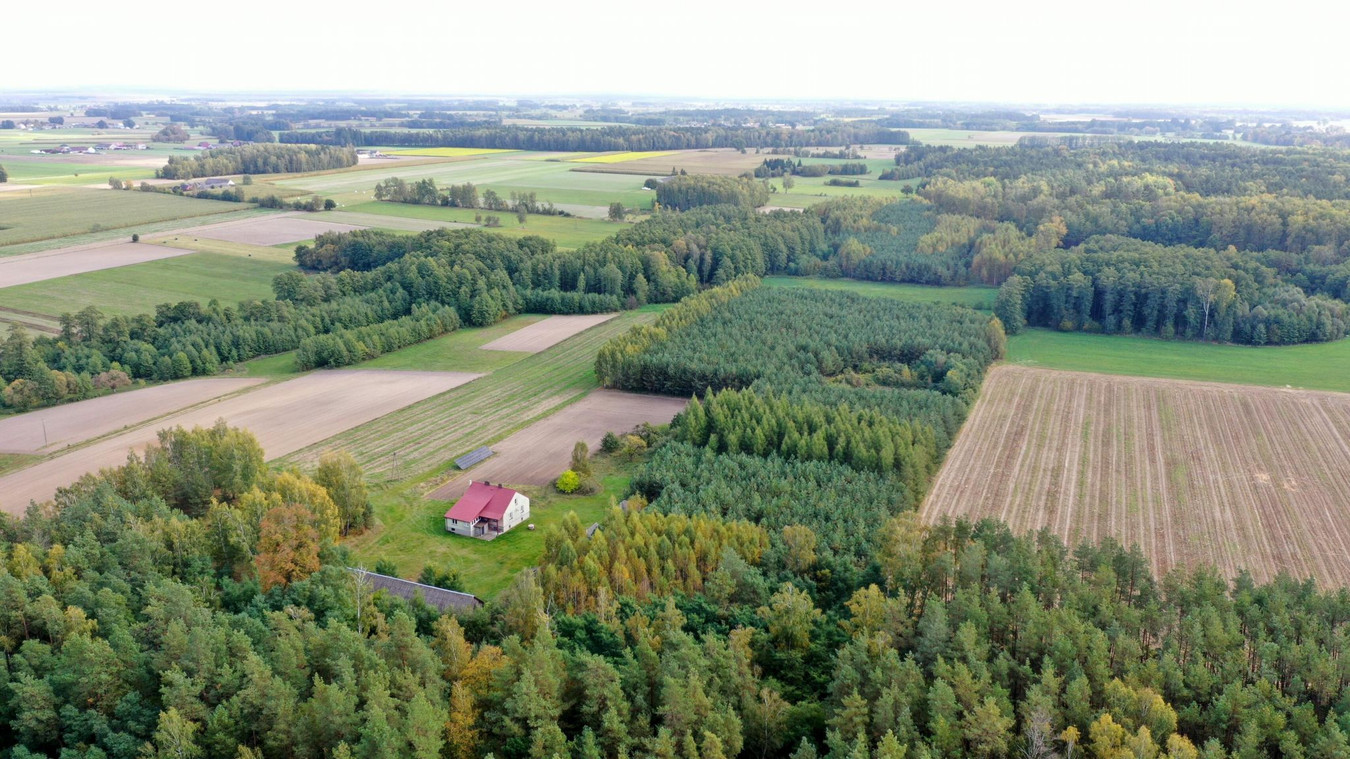 Dom – Przytuły, Kubra-Przebudówka - Więcej