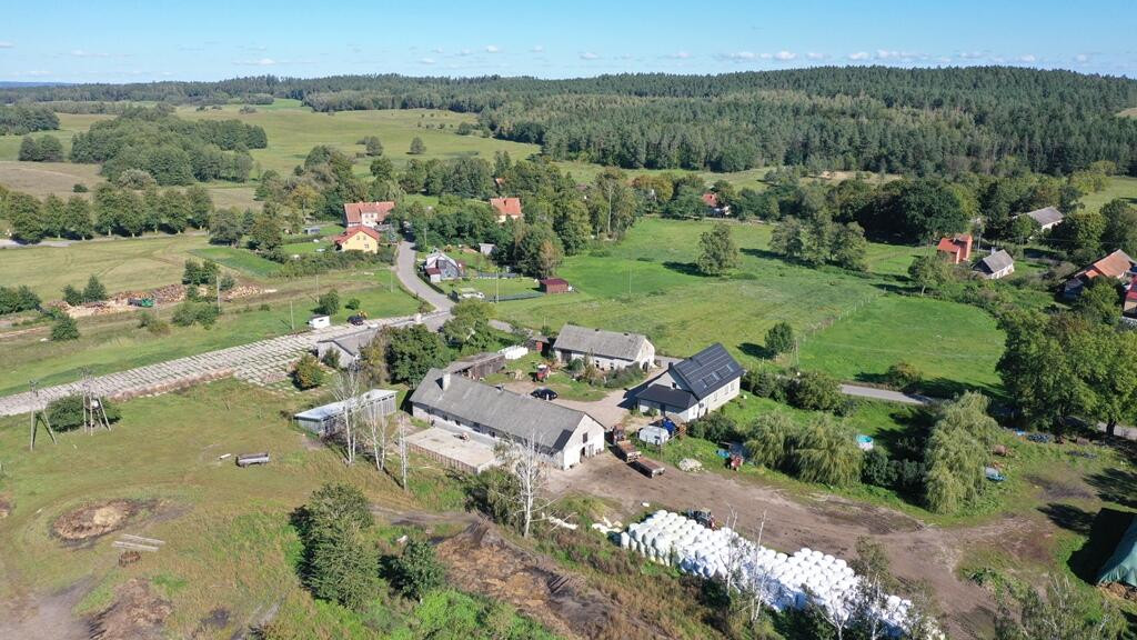 Gospodarstwo/Siedlisko 30 ha Chmielewo 15 gm Orzysz - Widok 4