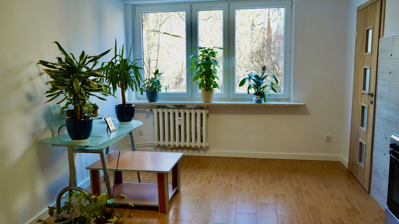 gratka-TTT-00001591 - Widok 3