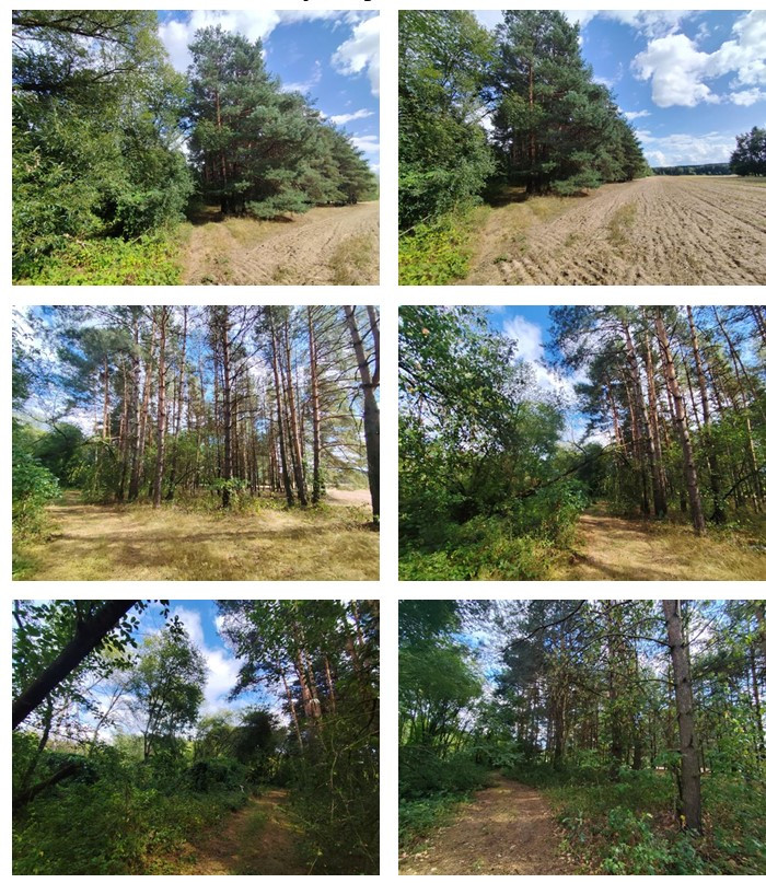 gratka-TTT-0000020075 - Widok 2