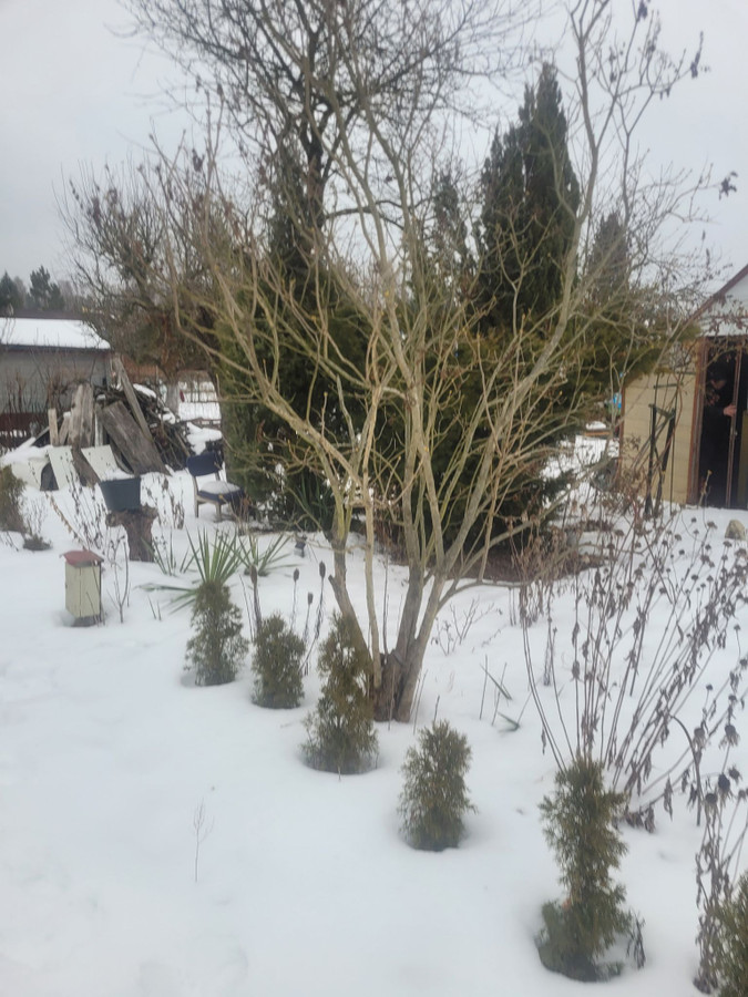 gratka-TTT-00001547 - Widok 2