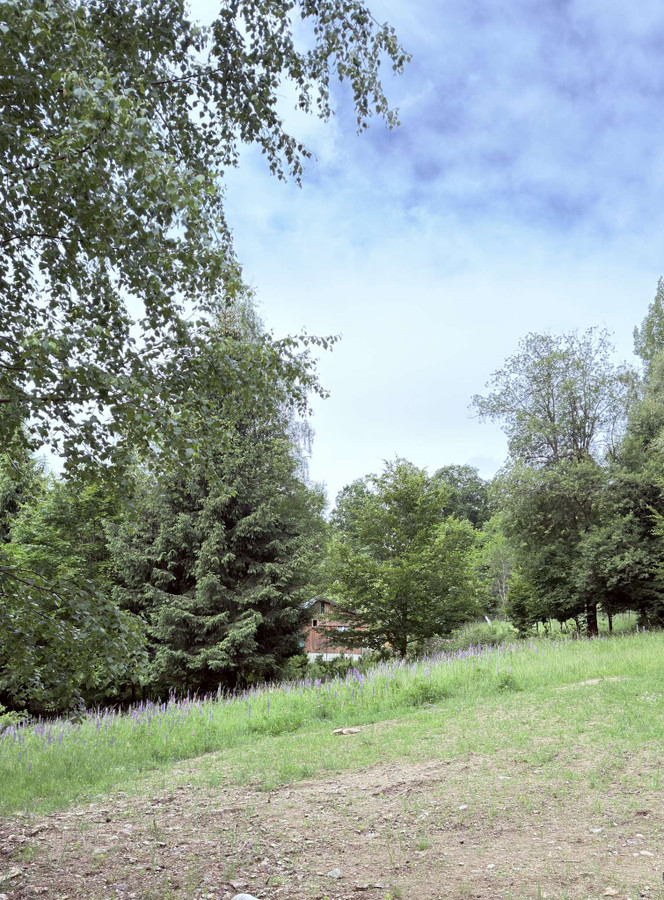 gratka-TTT-00001809 - Widok 2
