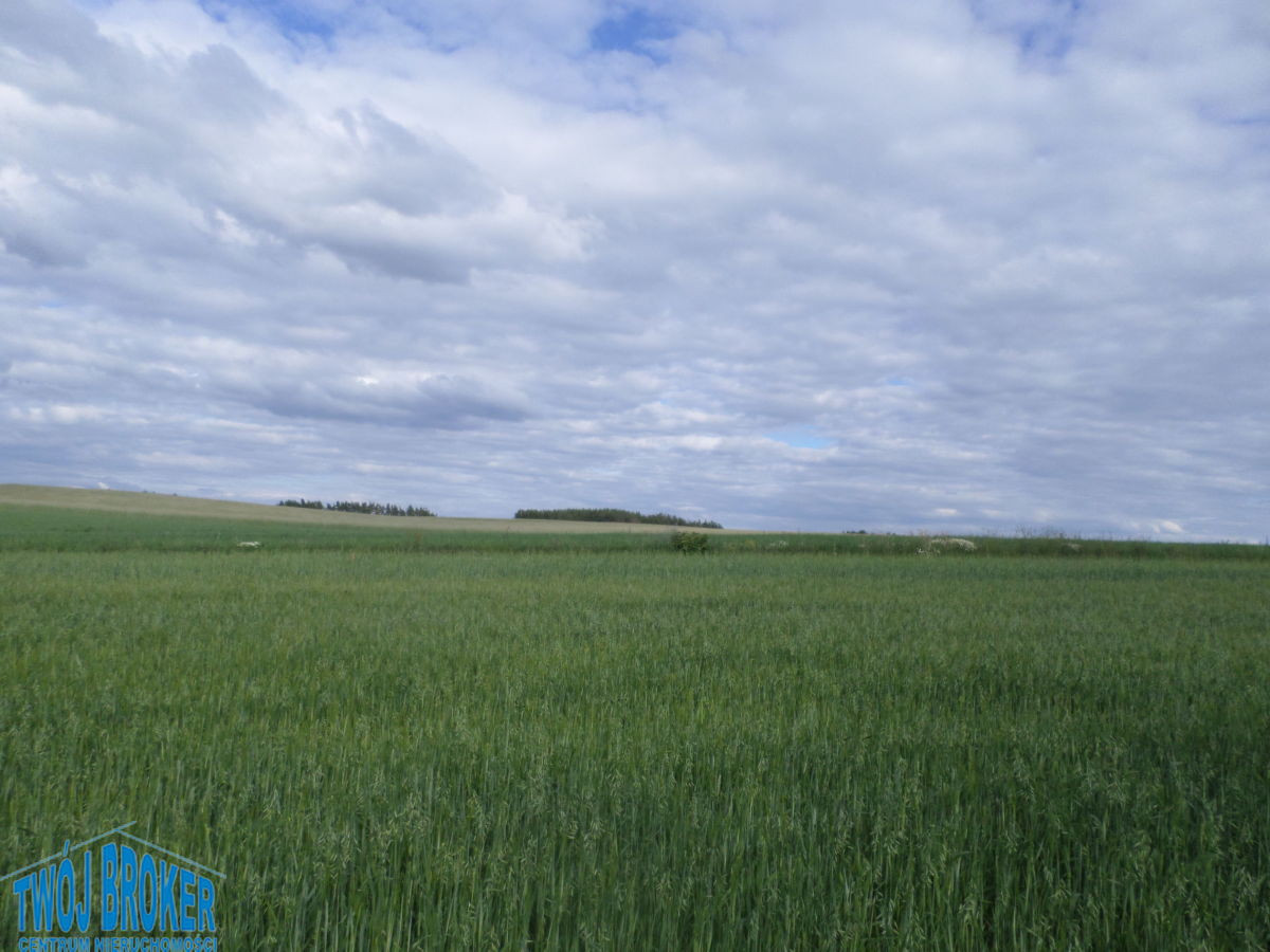 działka budowlana rezydencyjna - Widok 5