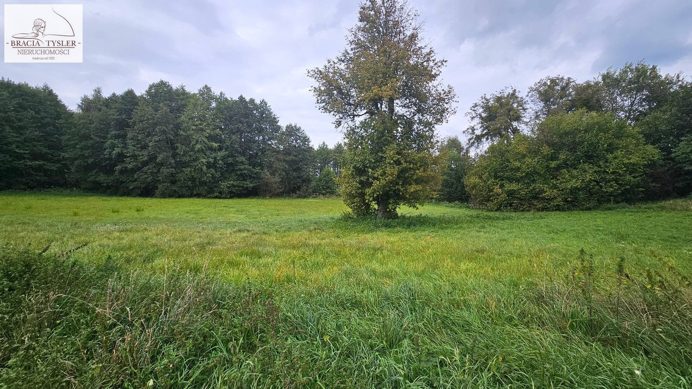 7000 m² Działka budowlana Lipienica Nad JEZIOREM - Widok 5