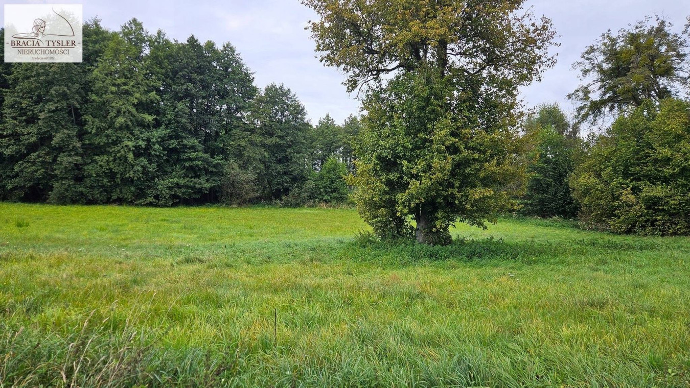 7000 m² Działka budowlana Lipienica Nad JEZIOREM - Więcej