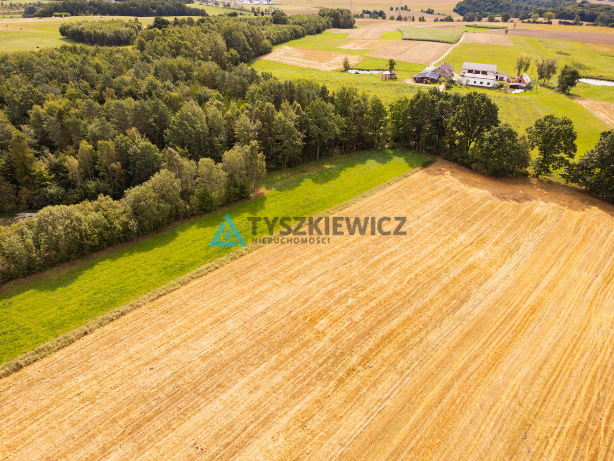 WYDANE WARUNKI ZABUDOWY | DZIAŁKA CZECZEWO - Widok 4