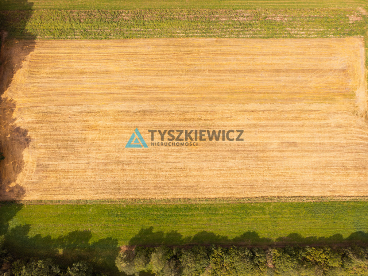 WYDANE WARUNKI ZABUDOWY | DZIAŁKA CZECZEWO - Widok 6