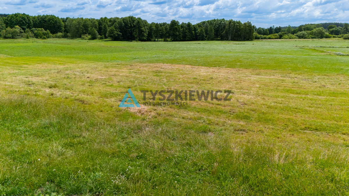 Działka rolna Lubieszyn - Widok 5