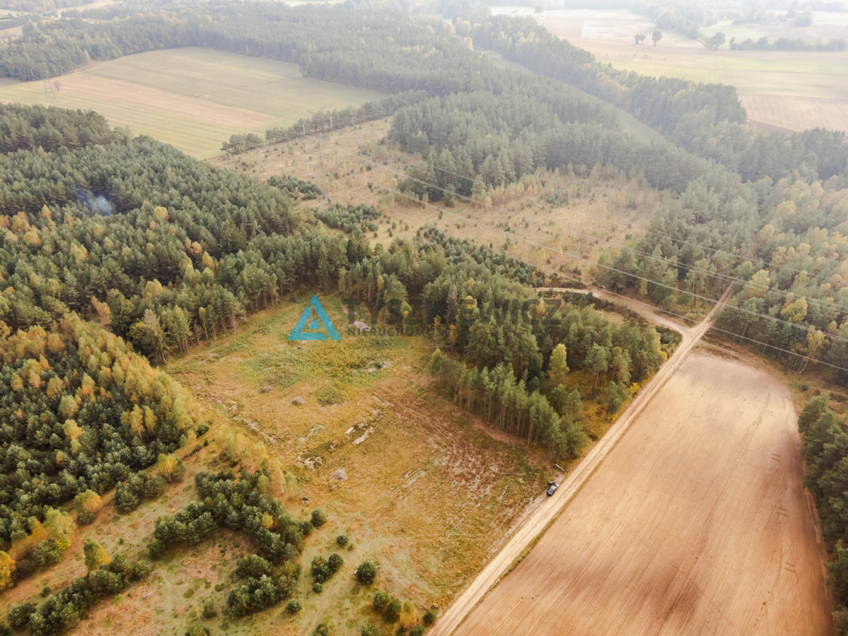 Działka budowlana w Kowalewie pod lasem - Widok 6