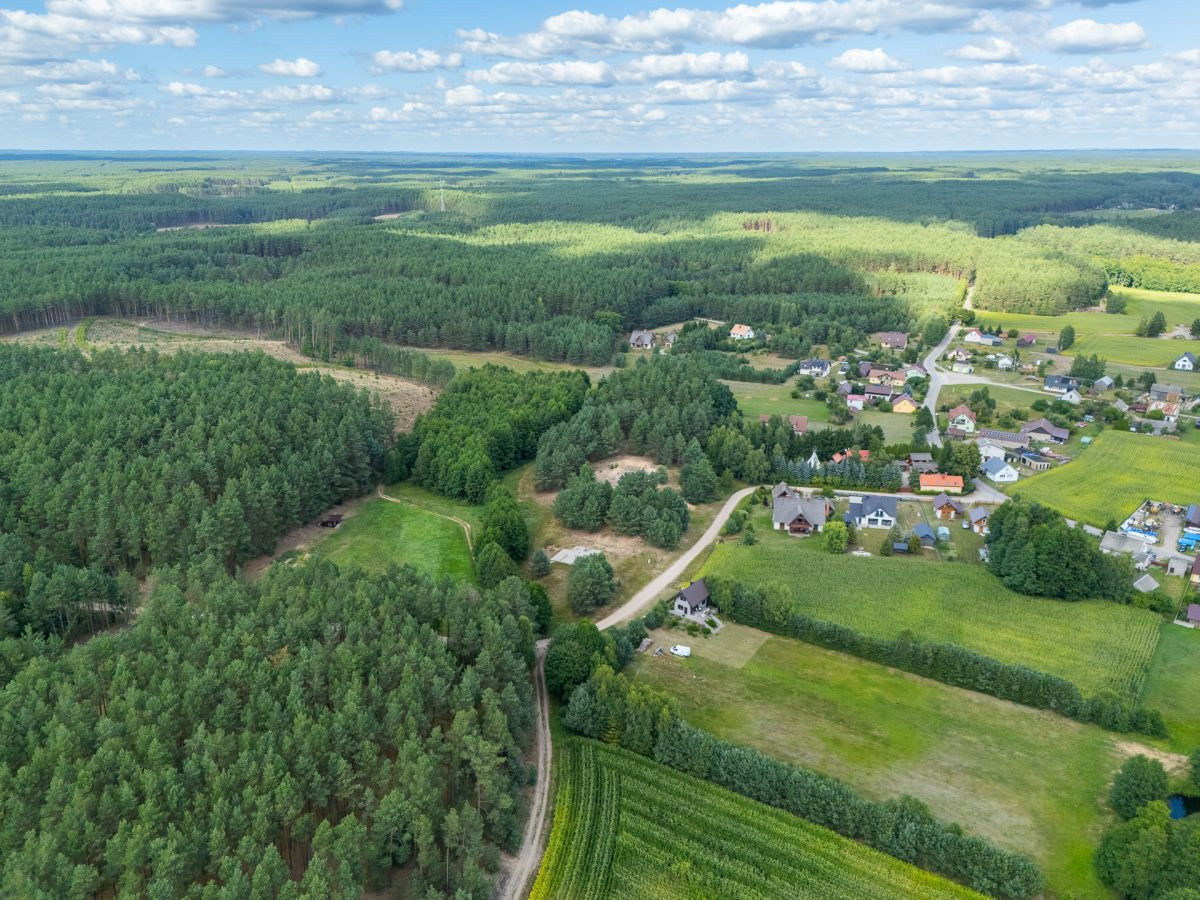 Leśna rezydencja na terenie Zaborskiego Parku - Widok 5