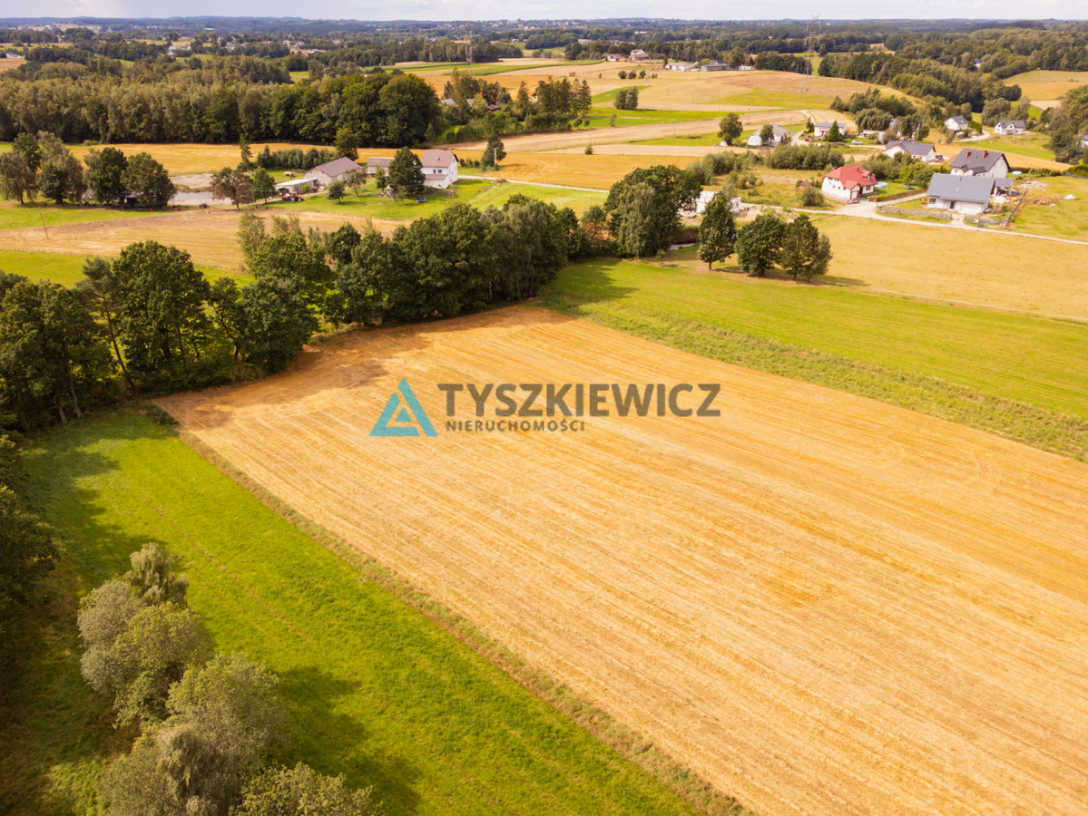WYDANE WARUNKI ZABUDOWY | DZIAŁKA CZECZEWO - Widok 5