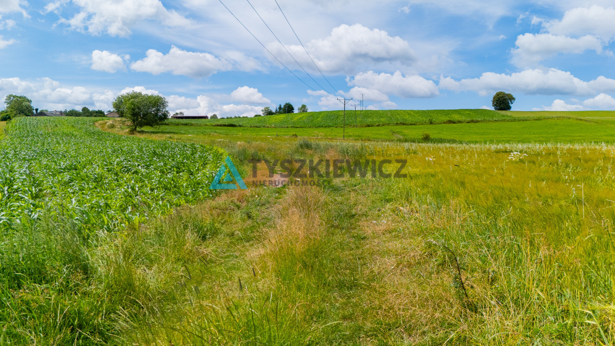 Działka rolna Lubieszyn - Widok 4