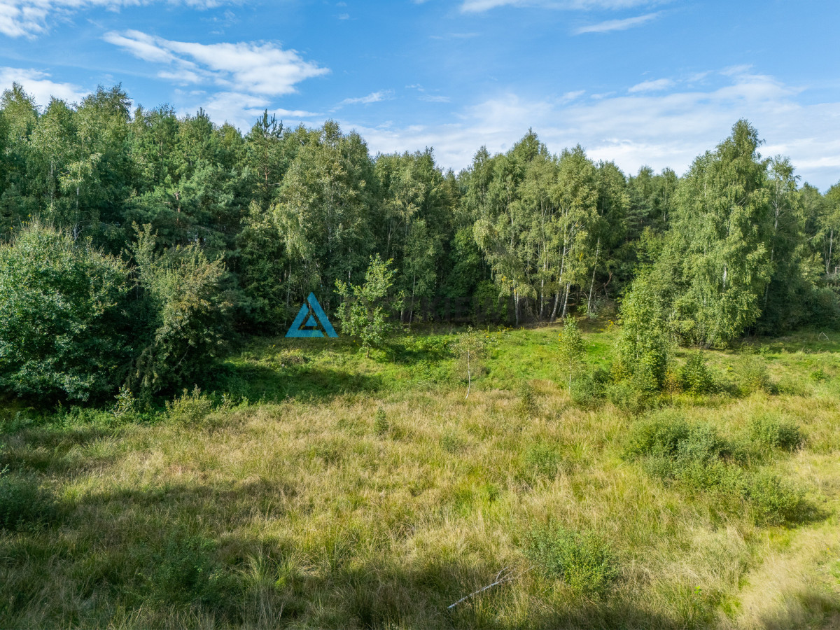 Nieruchomość rolna/zalesiona, inwestycyjna - Widok 5