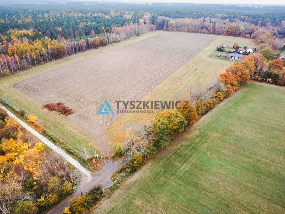 Działka Szczenurze gmina Wicko - Widok 5