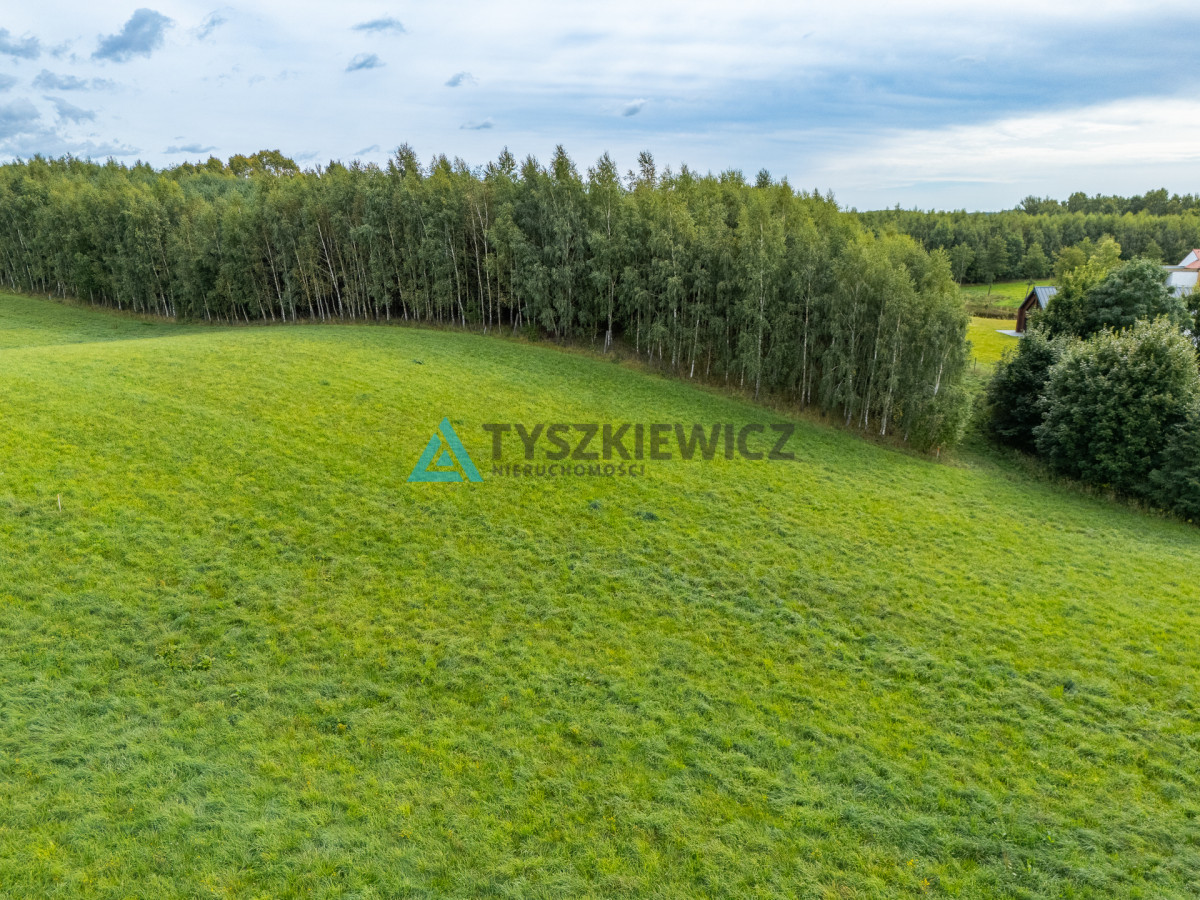 Dwie duże działki budowlane - Więcej