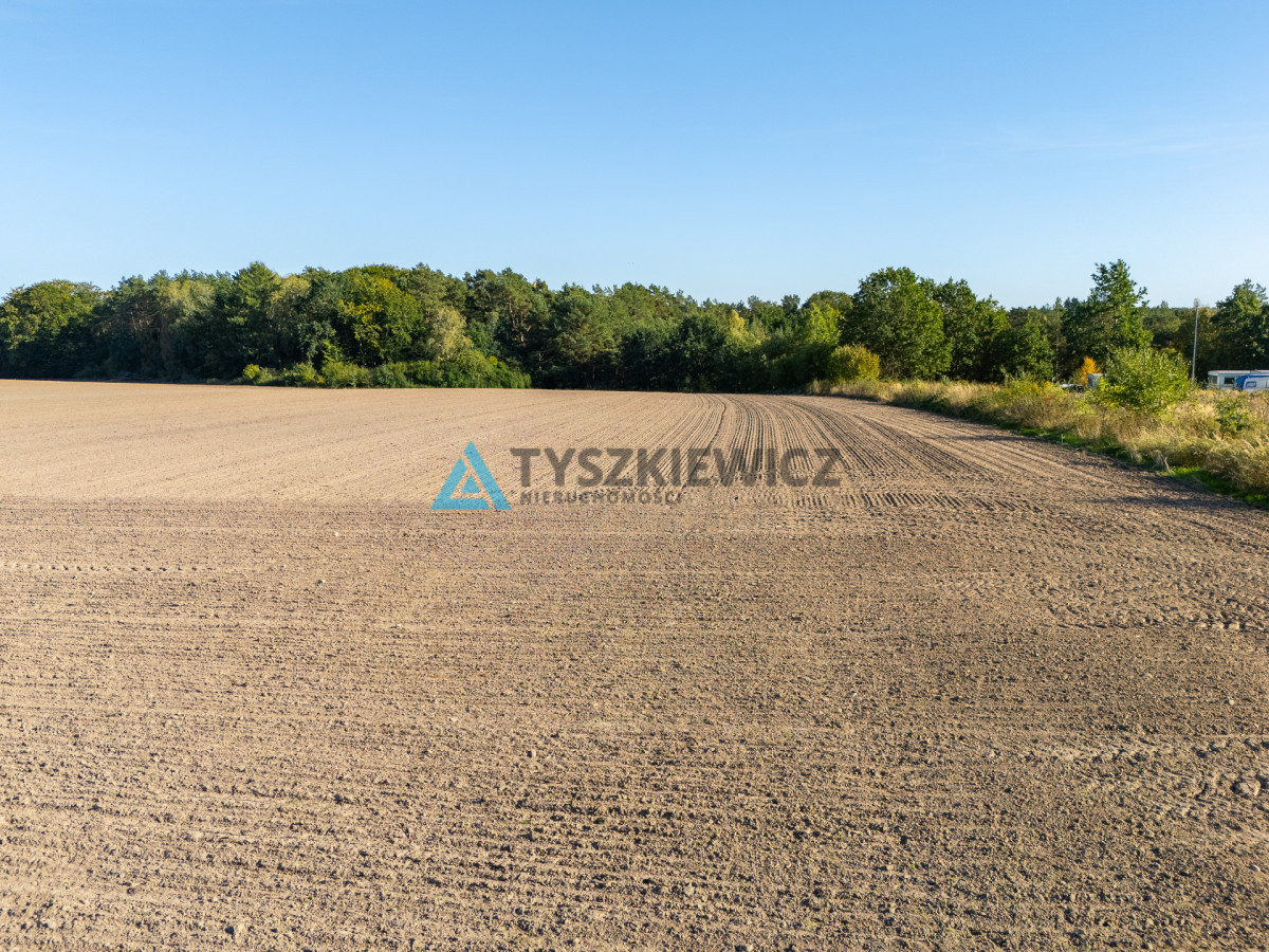 3,5 ha nad jeziorem Żuczek MPZP - wiele możliwości - Widok 5