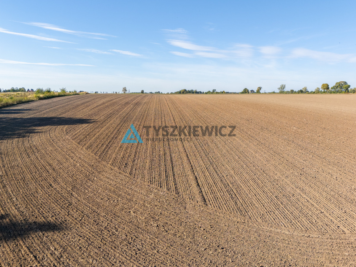 3,5 ha nad jeziorem Żuczek MPZP - wiele możliwości - Widok 2