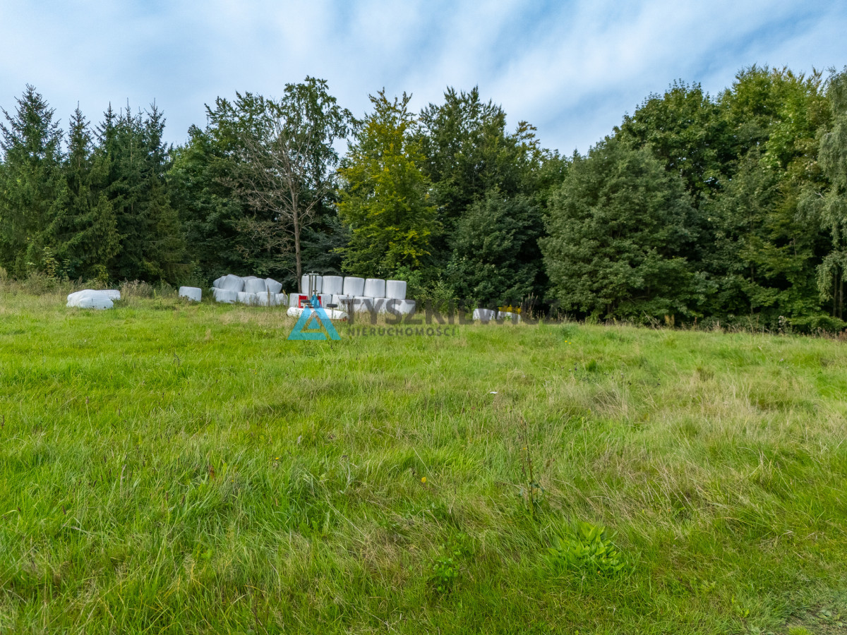 Działki budowlane Ostrzyce - Widok 2