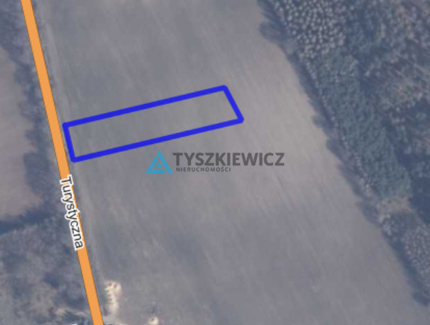 Działka Szczenurze - Widok 2
