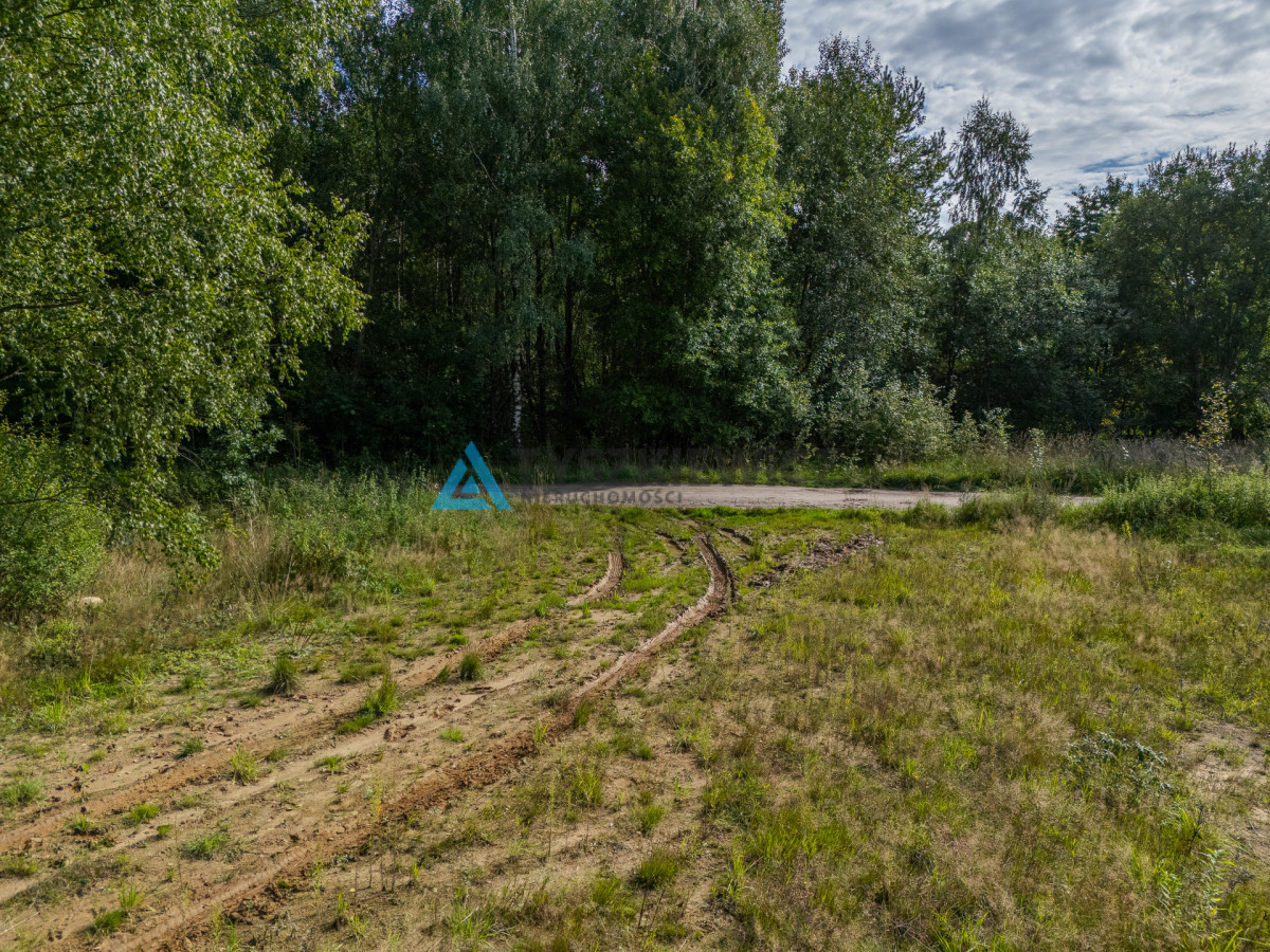 Nieruchomość rolna/zalesiona, inwestycyjna - Widok 3