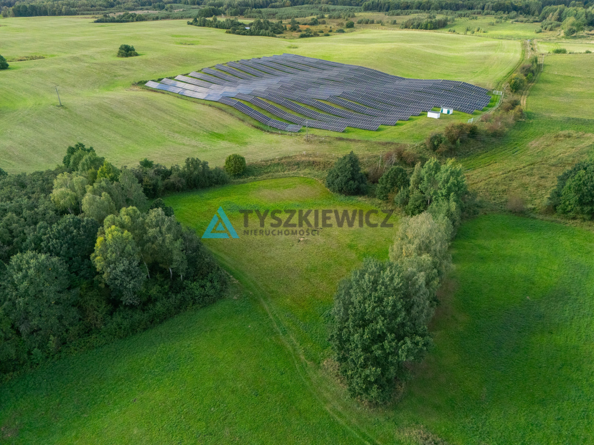 Nieruchomość rolna w ciągłej uprawie -Dretynek - Widok 5