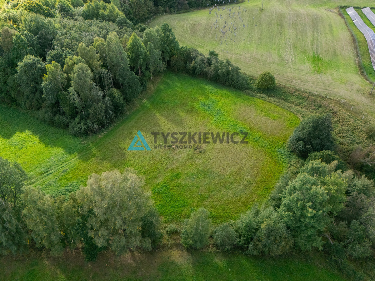 Nieruchomość rolna w ciągłej uprawie -Dretynek - Widok 3