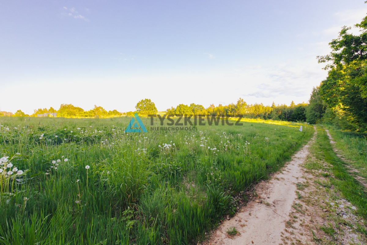 Pięknie położona działka z wydaną WZ - Widok 4