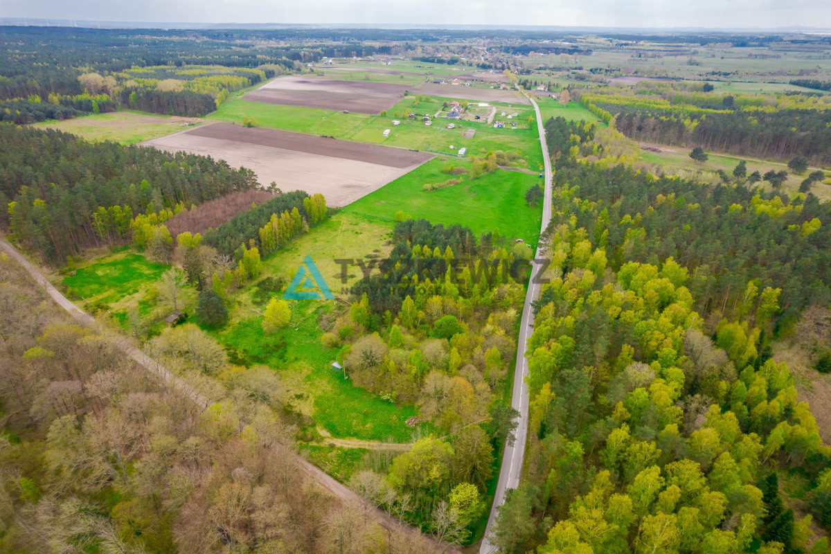 Działka letniskowa w Szczenurzy - Więcej