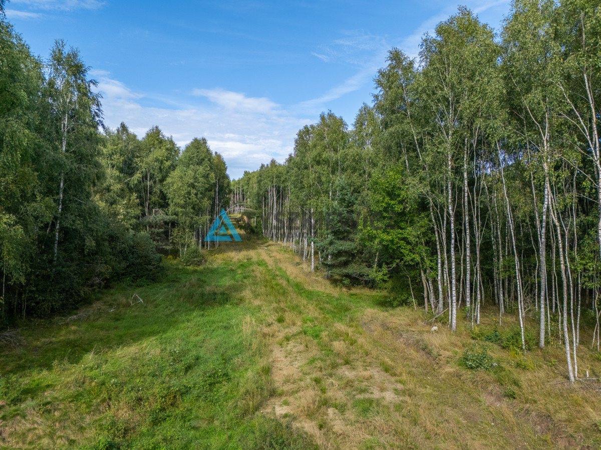 Nieruchomość rolna/zalesiona, inwestycyjna - Widok 2