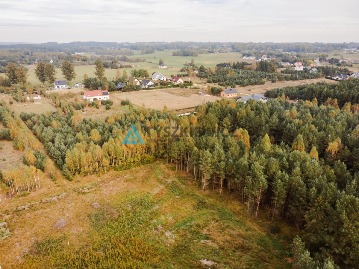 Działka budowlana w Kowalewie pod lasem - Widok 2