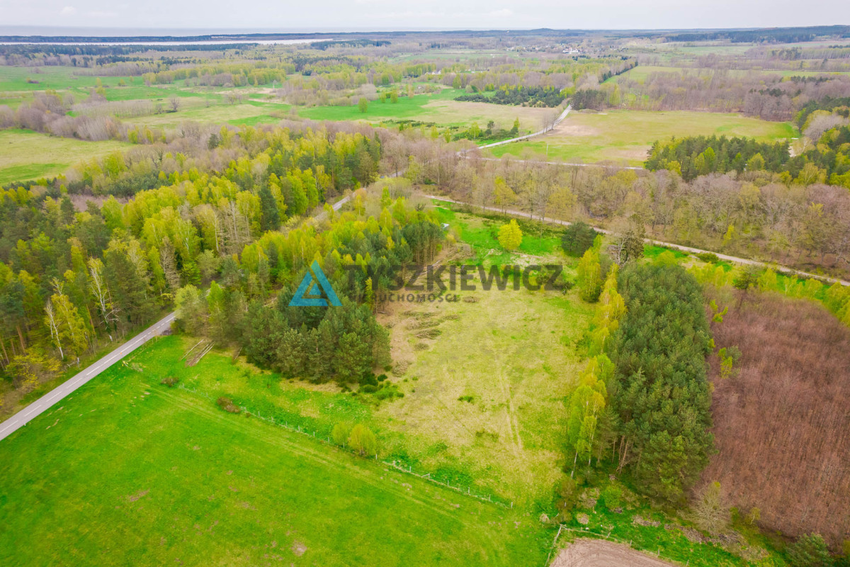 Działka letniskowa w Szczenurzy - Widok 2