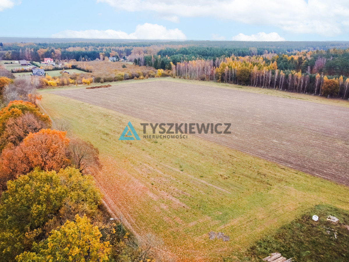 Działka Szczenurze gmina Wicko - Widok 4