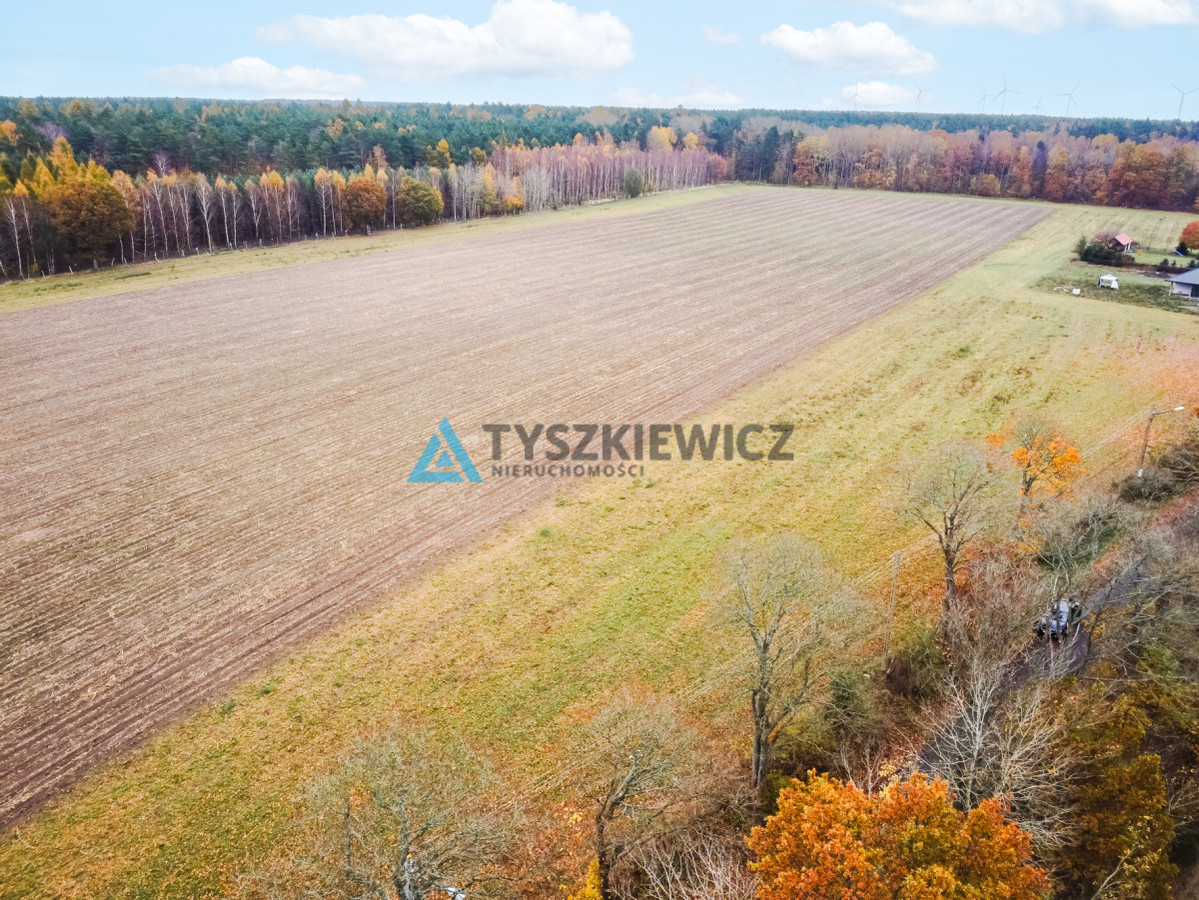 Działka Szczenurze - Widok 4