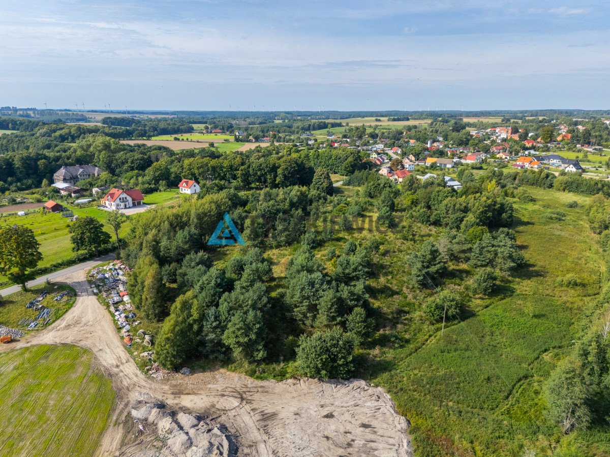 Działka inwestycyjna 2,43 ha Łebień - Widok 3