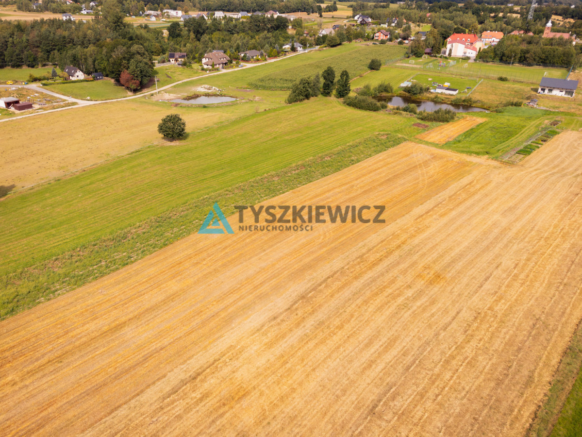 WYDANE WARUNKI ZABUDOWY | DZIAŁKA CZECZEWO - Więcej