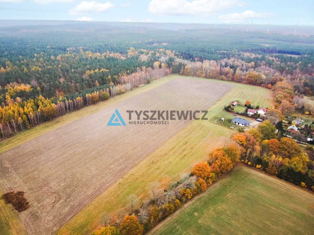 Działka Szczenurze - Widok 3