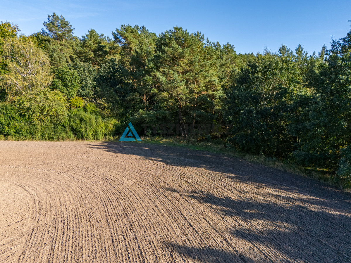 3,5 ha nad jeziorem Żuczek MPZP - wiele możliwości - Widok 4