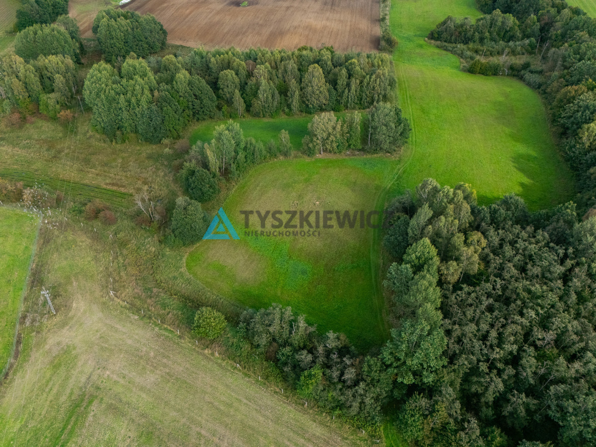 Nieruchomość rolna w ciągłej uprawie -Dretynek - Widok 2
