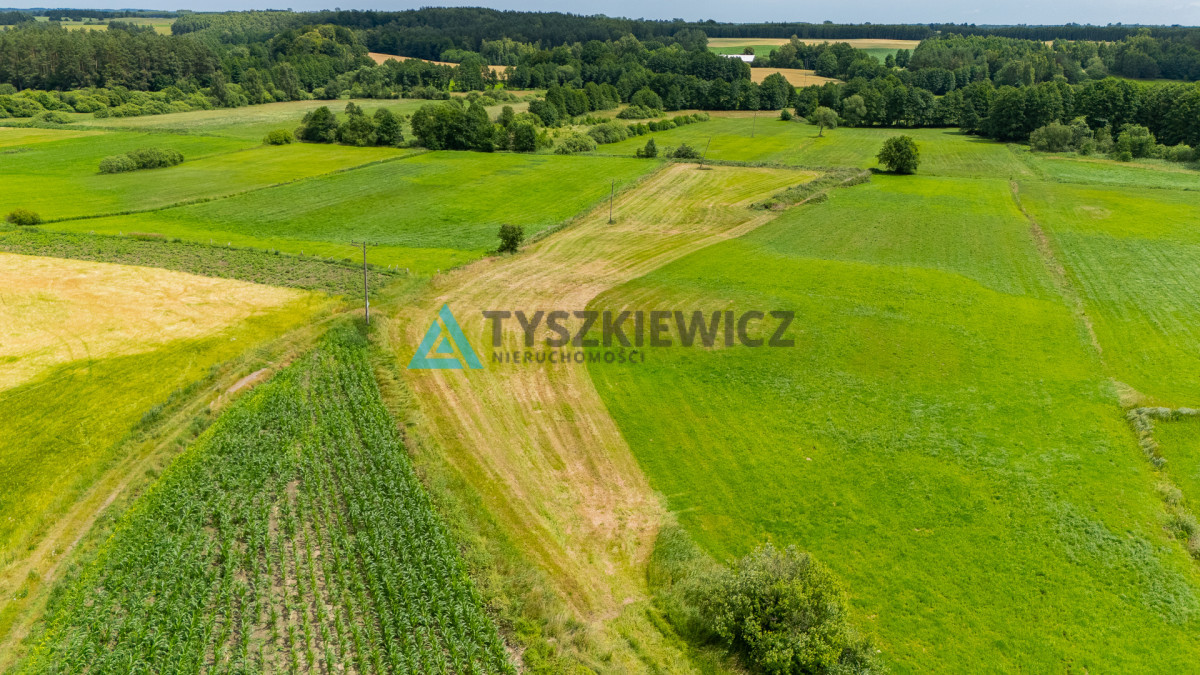 Działka rolna Lubieszyn - Więcej