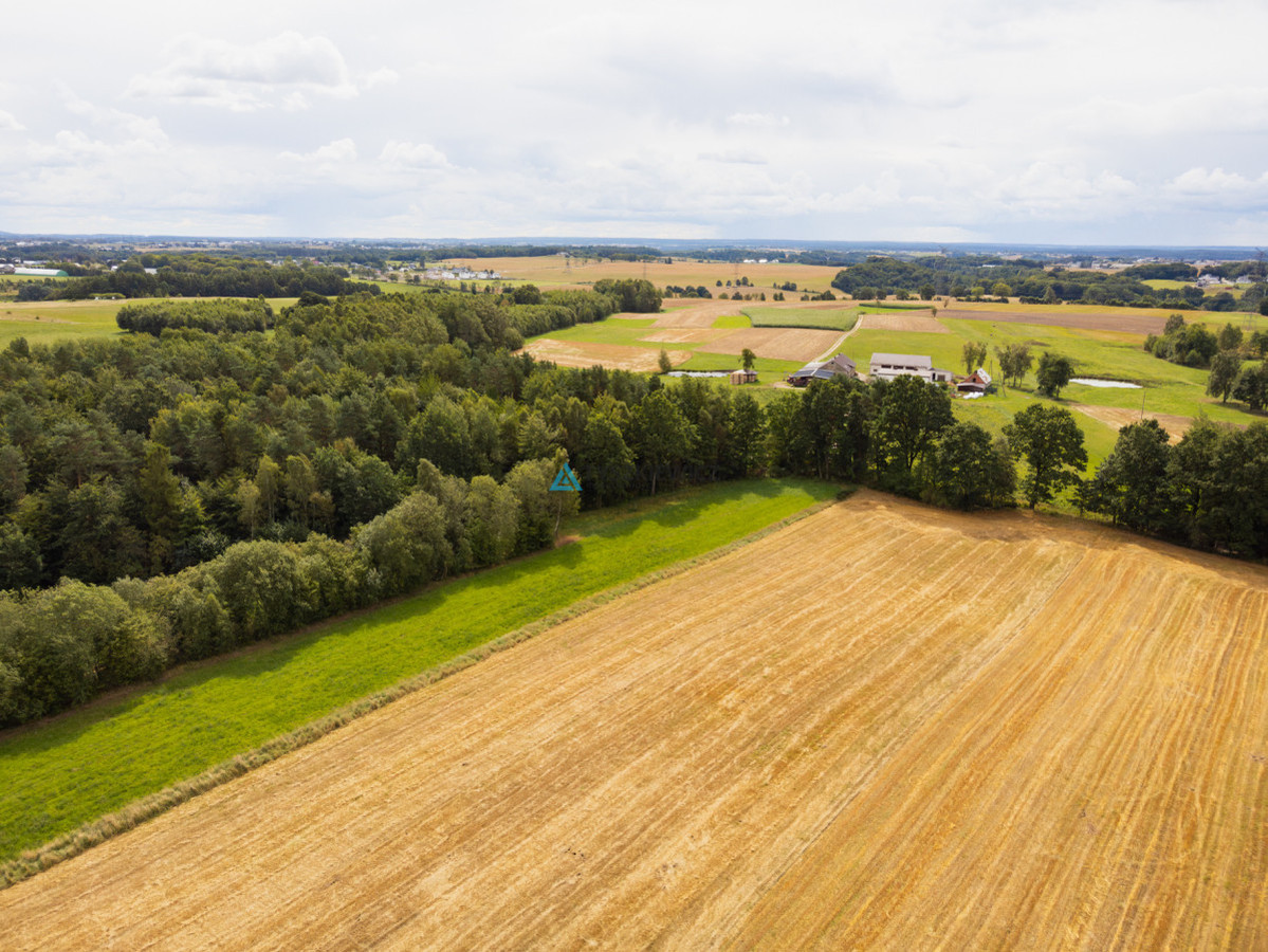 WYDANE WARUNKI ZABUDOWY | DZIAŁKA CZECZEWO - Widok 2