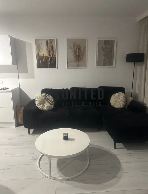 Apartment in Wrocław, Nowe Lamowice, Krzyki - Widok 2
