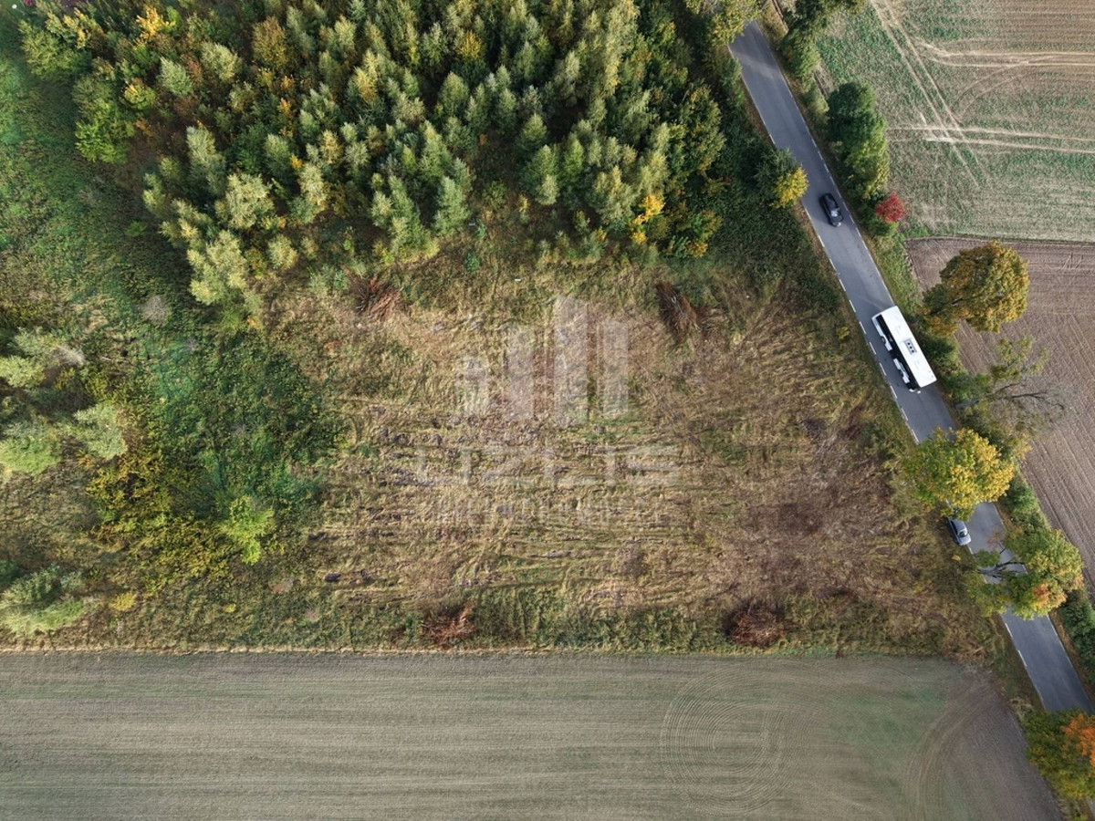 Działka budowlana w pobliżu lasu (wydane Warunki Zabudowy) - Więcej