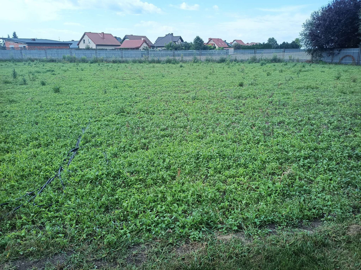 Cicha działka na uboczu - Widok 3
