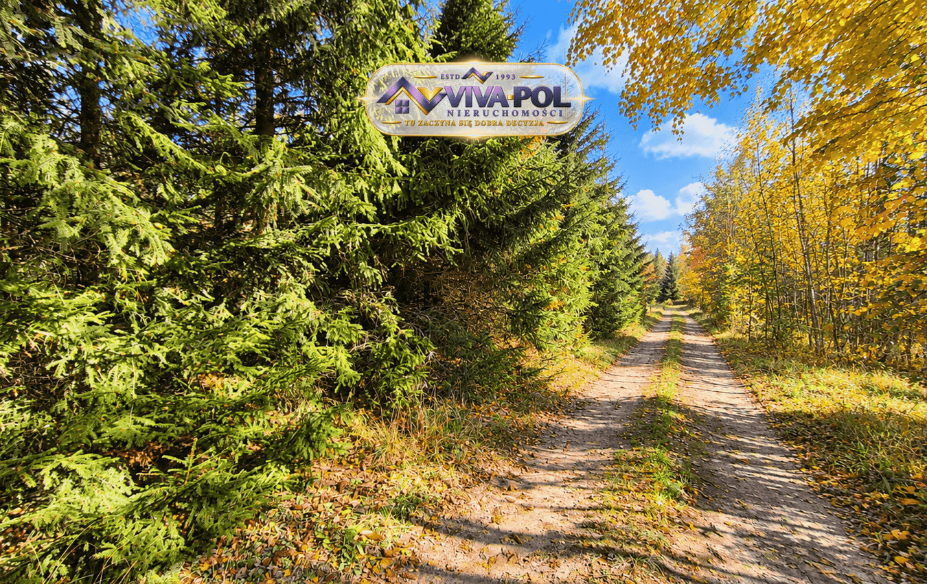 Ostatnia działka przy lesie! 1046 m² z MPZP, tylko 4 km od Mrągowa - Widok 5