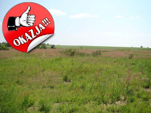 gratka-17509 - Widok 2