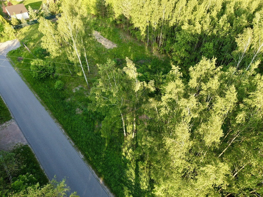Twoje własne rancho w Dziektarzewie - Widok 5