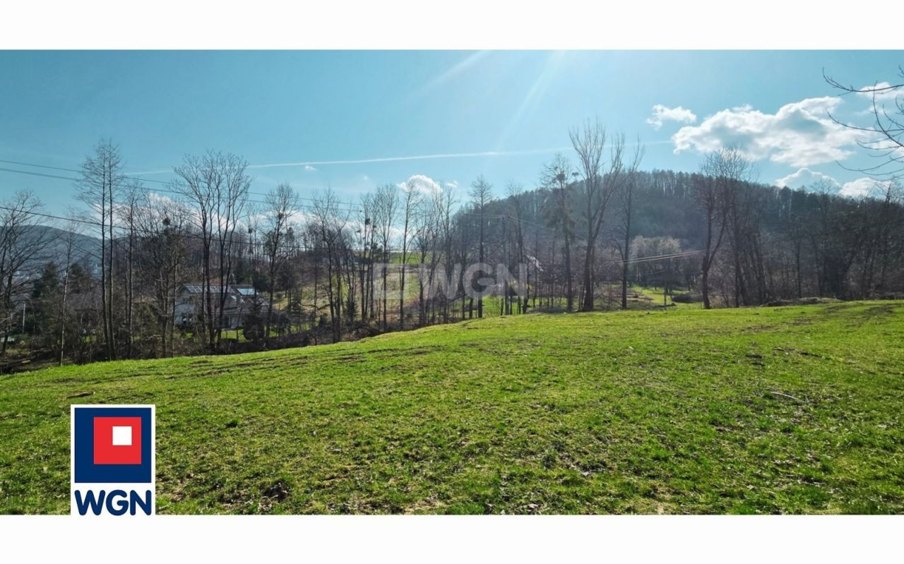 gratka-30376 - Widok 6