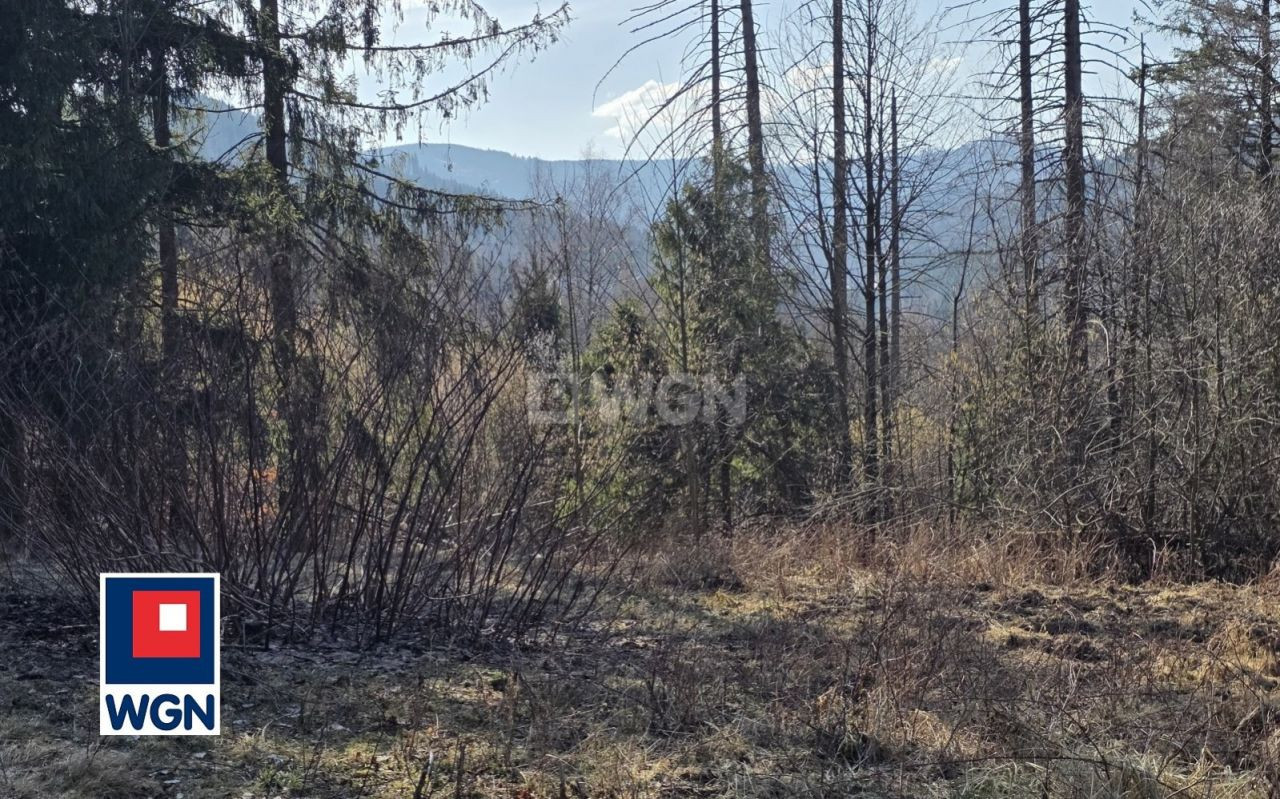 gratka-30435 - Widok 4
